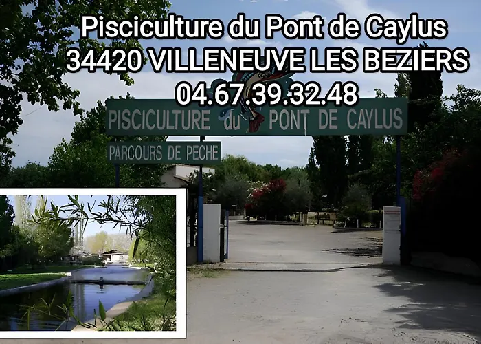 Tiny House 3 Personnes Soeursgrises Beziers Centre Historique Coeur De L\'Herault Capitale D\'Occitanie